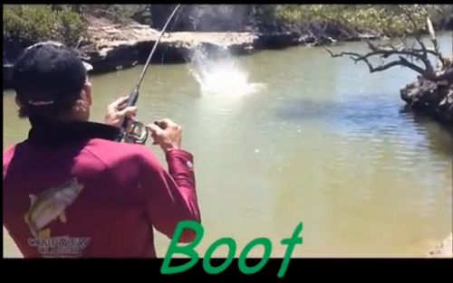 VIDEO: Barra in skinny water